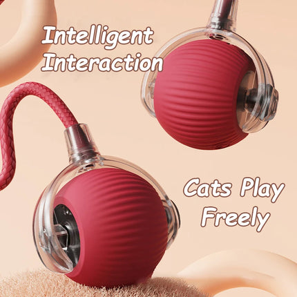 Smart Rolling Cat Toy Ball with Tail