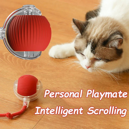 Smart Rolling Cat Toy Ball with Tail