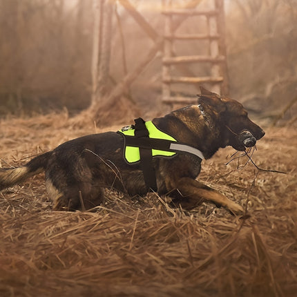 Reflective No-Pull Dog Harness with Easy-Grab Handle - Monti Bargains