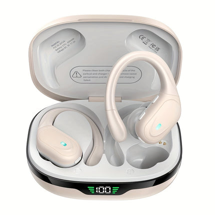 Noise-Cancelling Earbuds with Earhooks