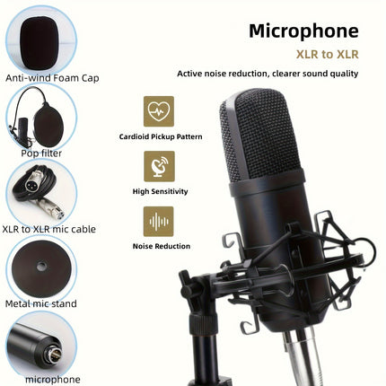 Complete Podcasting Kit with XLR Mic