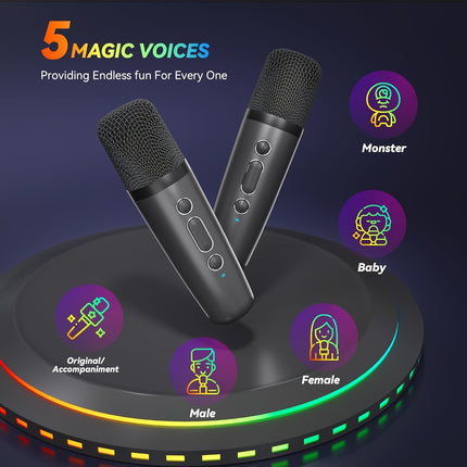 Portable Karaoke Machine with Mics - Monti Bargains