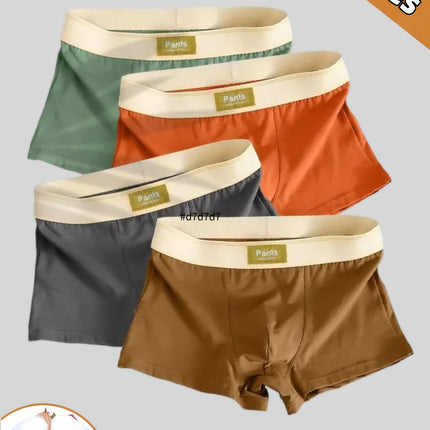 Men's Cotton Stretch Boxer Shorts
