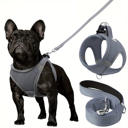 Reflective Dog Harness & Leash - Monti Bargains