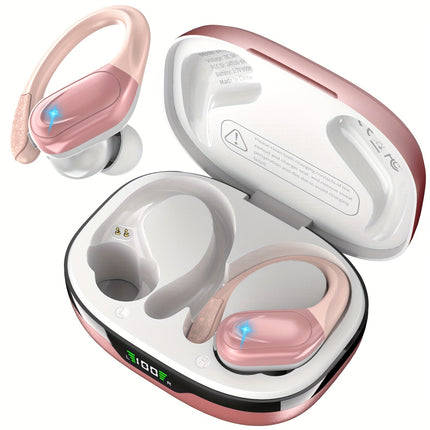 Noise-Cancelling Earbuds with Earhooks