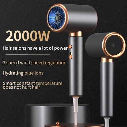 2000W Professional Hair Dryer