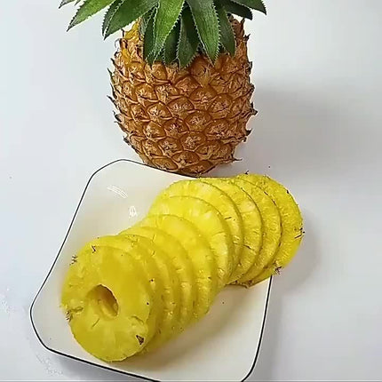 Stainless Steel Pineapple Corer & Slicer