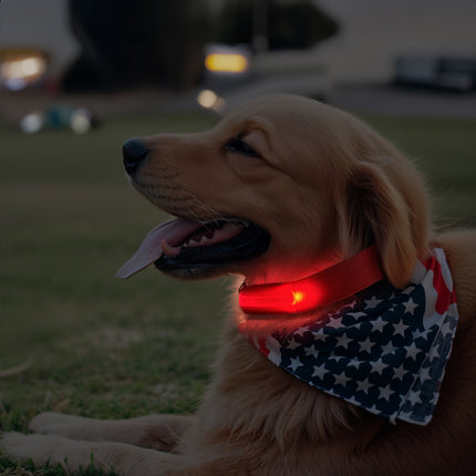 LED Glow-in-the-Dark Dog Collar