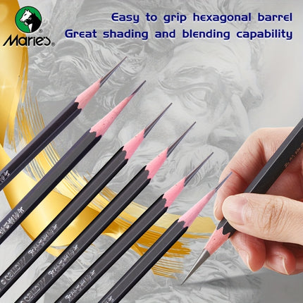 Professional Sketching Pencil Set