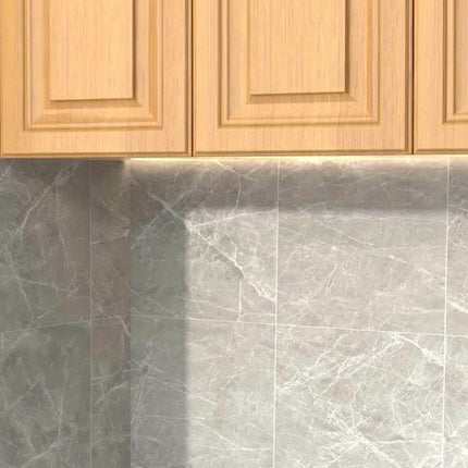 Stainless Steel Cabinet Organizer