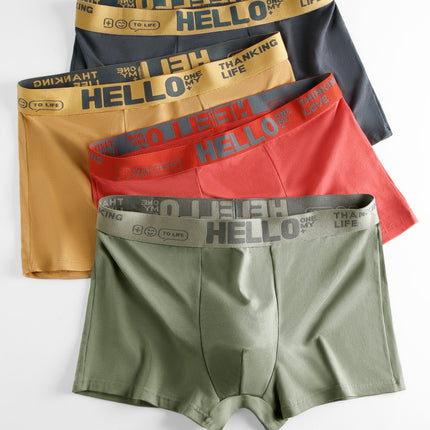 4-Pack Men's Cotton Boxer Briefs