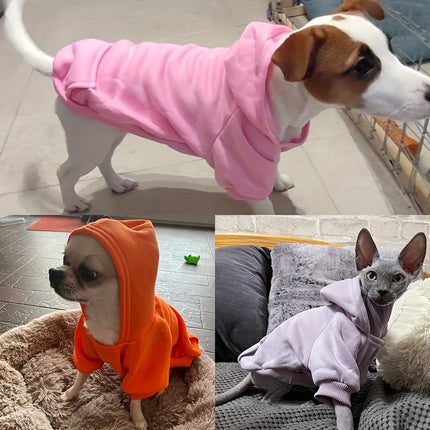Snuggle Pup Hoodie Delight - Monti Bargains