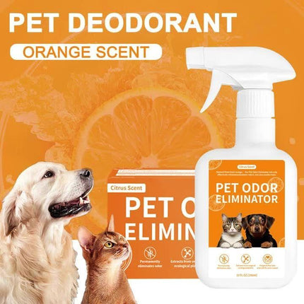 Pet Odor Eliminator Spray – Stains & Smells Gone - Monti Bargains