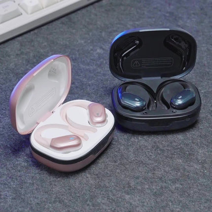Noise-Cancelling Earbuds with Earhooks
