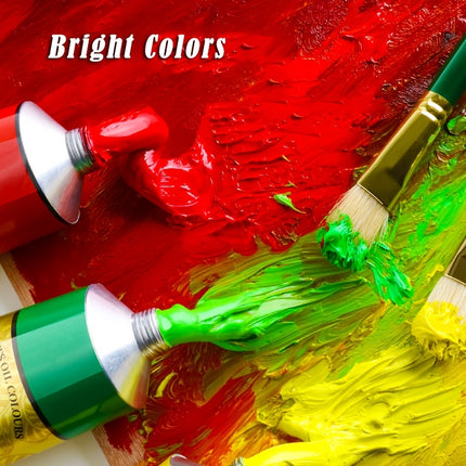 Professional Oil Paint Set