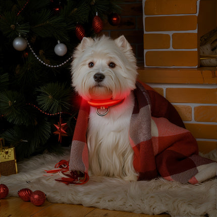 LED Glow-in-the-Dark Dog Collar