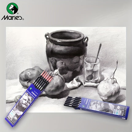 Professional Sketching Pencil Set