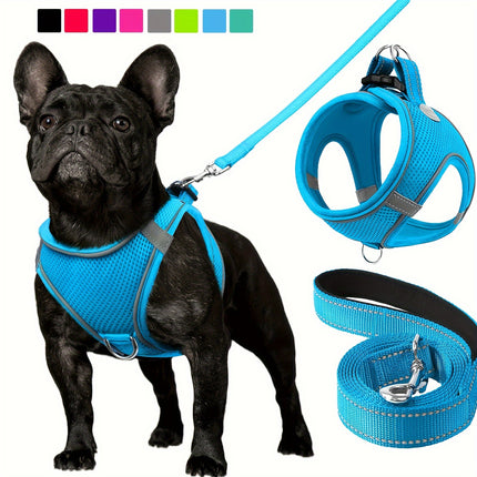 Reflective Dog Harness & Leash - Monti Bargains