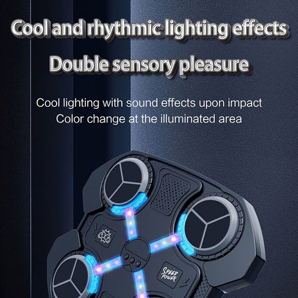 Interactive LED Punching Bag with Music - Monti Bargains