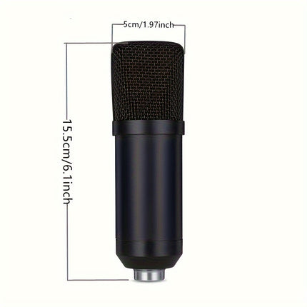 Complete Podcasting Kit with XLR Mic